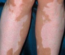 ���ڰ�������������ж��